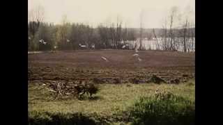 Валерьян БАХТ Калина Красная 111111 wmv1