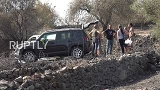 Italy: Thousand-year-old olive tree wiped out in fire blaze