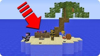 PERDIDOS EN UNA ISLA DESIERTA EN MINECRAFT ?