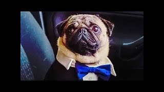 Патрик — Русский трейлер 2018