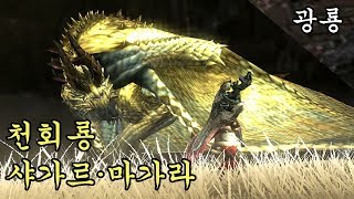 몬스터 헌터 생태 [고룡종] - 샤가르 마가라
