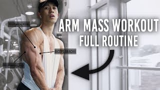 How To Get Bigger Arms Explained (MASSIVE PUMP) Full Arm Workout & Routine Explained to Gain Size