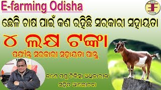 what are the govt. subsidy available to start a goat farm in odisha.
