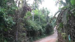 Отпуск на Шри Ланке, 2015 (часть 1/4). Sri Lanka vacation, 2015 (part 1/4)