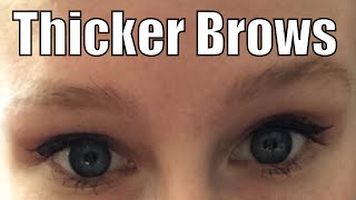 How to Grow Eyebrows Faster and Thicker | #RCLBrows | Fashion Me Cute