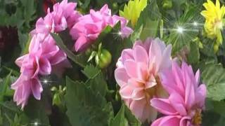 Музыка для души. Гитара. Посвящаю внучке...