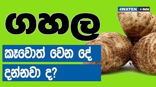 ගහල කෑවොත් මොකද වෙන්නෙ : Benefits of yams