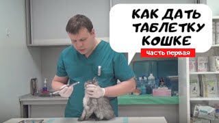 Как дать таблетку  кошке