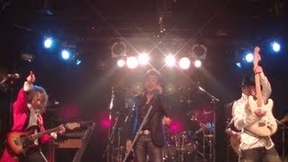 MAILING DOG 2012 - ROCKS (ハウンドドッグ コピー）
