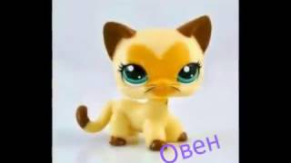 Кто ты по знаку зодиака из лпс стоячек?