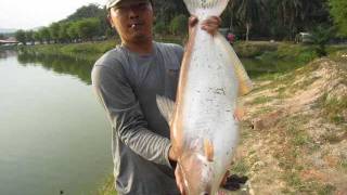 Kolam pancing"Fish Valley"~"鱼乐谷钓鱼塘"~semenyih,malaysia.....