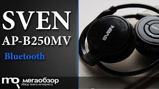 Обзор наушников SVEN AP-B250MV