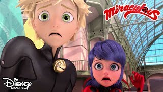 Song and Dance ? | Miraculous Ladybug | Official Disney Channel Africa