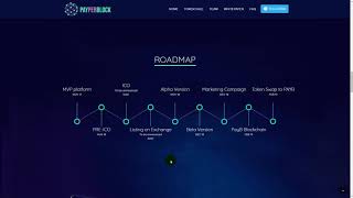 Обзор ICO PAYPERBLOCK. Часть 4 - изучаем Roadmap проекта