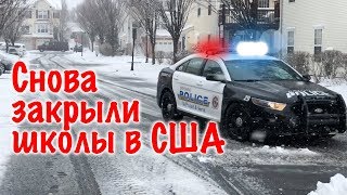 Снова закрыли школы в США. Эмигранты в шоке( #179 Видео дневник эмигранта