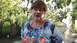 Мускусные утки: кормление, разведение.