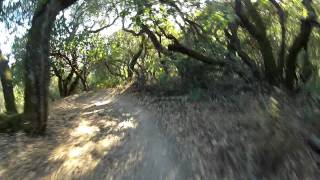 Mtn Bike - Spanking China Camp's Backside