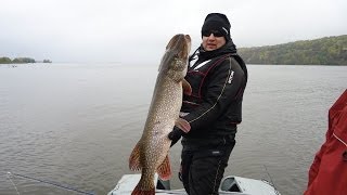 Щука на 10 250 пойманная  на джеркбейт Baltic Wings Bait