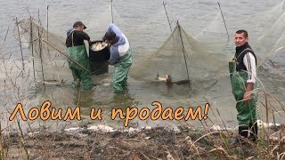 Ловим рыбу сетью и сразу продаем!! - -80 КИЛОГРАМ.