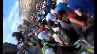 Пробег под каштанами 2013