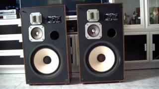 Akai SW-157 3 Way 3 Speaker System