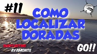 ???COMO localizar DORADAS ??? #2019