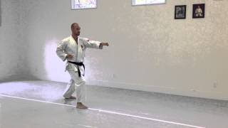 Uchi Uke kokutsu Kizami Zuki Gyaku Zuki zenkutsu | IKD Testing Syllabus videos 2013
