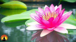 ? Relaxing Spa Music 24/7, Meditation, Sleep Music, Healing, Stress Relief, Yoga, Zen, Sleep, Spa