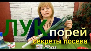 Выращивание Лука Порея из Семян на рассаду. Советы от Зеленого огорода.