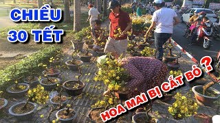 Chợ Hoa SÀI GÒN Chiều 30 TẾT Có Còn Cảnh Đau Lòng Người Cắt Bỏ MAI Kẻ Nhặt Đem Về? | PM FOOD TRAVEL