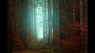 Guided Sleep Meditation (Let Go Of Stress, Anxiety) Sleep Hypnosis Meditation