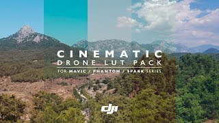 DJI Cinematic Drone LUT Pack (Mavic Air/Mavic Pro/Mavic 2/Phantom/Spark)