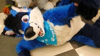 EUROFURENCE 23 - Touch Fluffy Tails!
