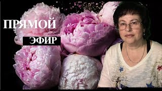Светлана Портнова в прямом эфире канала Голос Кремниевой Долины