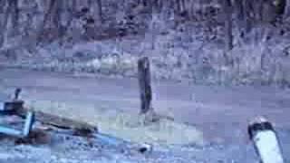 VW Buggy Mud Ride(1993)