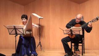 みだれ髪（船村　徹）プサルタリー＆ギター2011.04.14