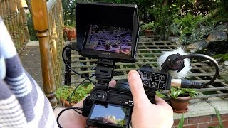 Sony CLM V55 monitor review