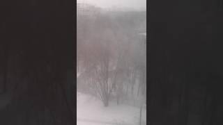 ХРАМЫ ХОДИТЬ НЕЛЬЗЯ,ТАМ УЖЕ ИКОНЫ лжепророкаА,И СВЯЩЕНСТВО ВСЕ НАС ПРЕДАЛИ...?
