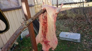 Ножи для разделки бобра, заточные приспособления, ключевые моменты разделки