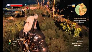 Ведьмак 3: Дикая Охота (The Witcher 3: Wild Hunt) на ПК Часть 11