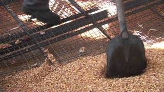 Creaming the crop: Grain warehouse receipts in Serbia