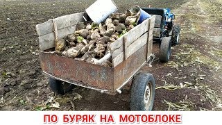 ДИЗЕЛЬНЫЙ МОТОБЛОК КЕНТАВР 10 Л.С | ПО БУРЯК НА МОТОБЛОКЕ