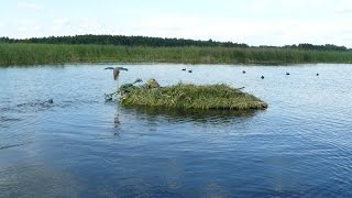 Строим лодку для охоты, лодка скрадок. №1