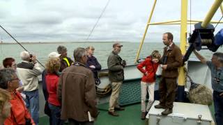 natuurnieuws Texel wadvogeltocht
