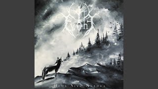 Sleeping with Wolves