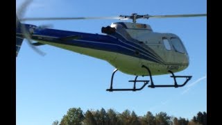 AS350, T-Rex 600, DFC, 3GX 4.0