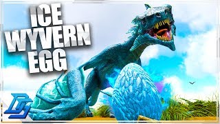 Ice Wyvern Egg Robbery & Ice Wyvern Nest Location! - Ark Survival Evolved - Part 10 (Primitive Plus)