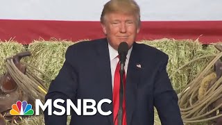 President Donald Trump Filled Swamp With Former Lobbyists | The Last Word | MSNBC
