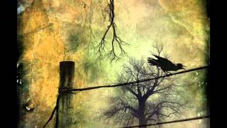 Cold in May - Kill yourself with pain (lyrics)