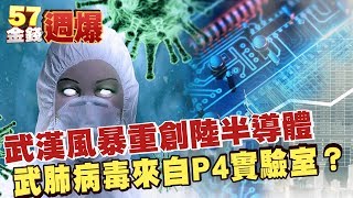 武漢風暴重創陸半導體 武肺病毒來自P4實驗室？ -《金錢週爆》